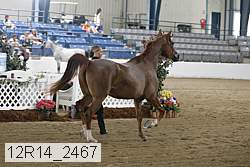 12r14_2467 proof