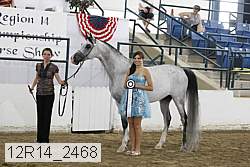 12r14_2468 proof