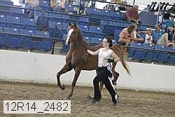 12r14_2482 proof