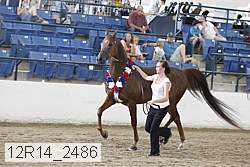 12r14_2486 proof