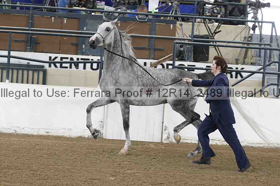 Proof 12r14_2489