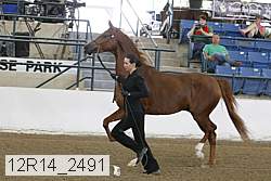 12r14_2491 proof