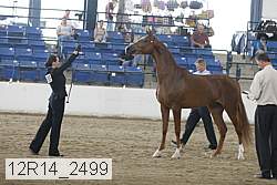 12r14_2499 proof