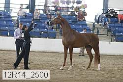 12r14_2500 proof