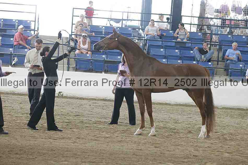 Proof 12r14_2502