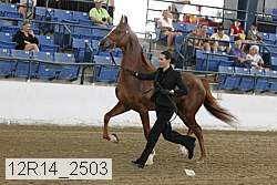 12r14_2503 proof