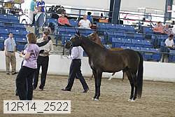 12r14_2522 proof