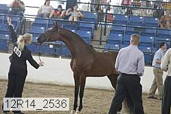 12r14_2536 proof