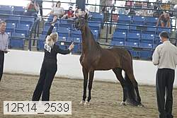 12r14_2539 proof