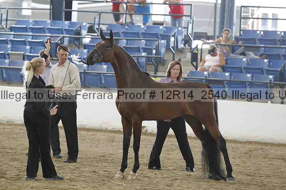 Proof 12r14_2540