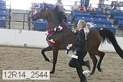 12r14_2544 proof
