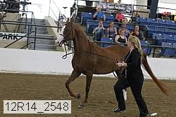 12r14_2548 proof