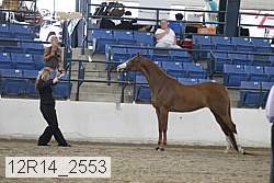 12r14_2553 proof