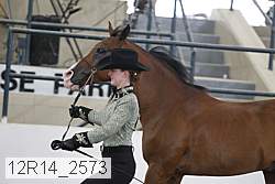 12r14_2573 proof