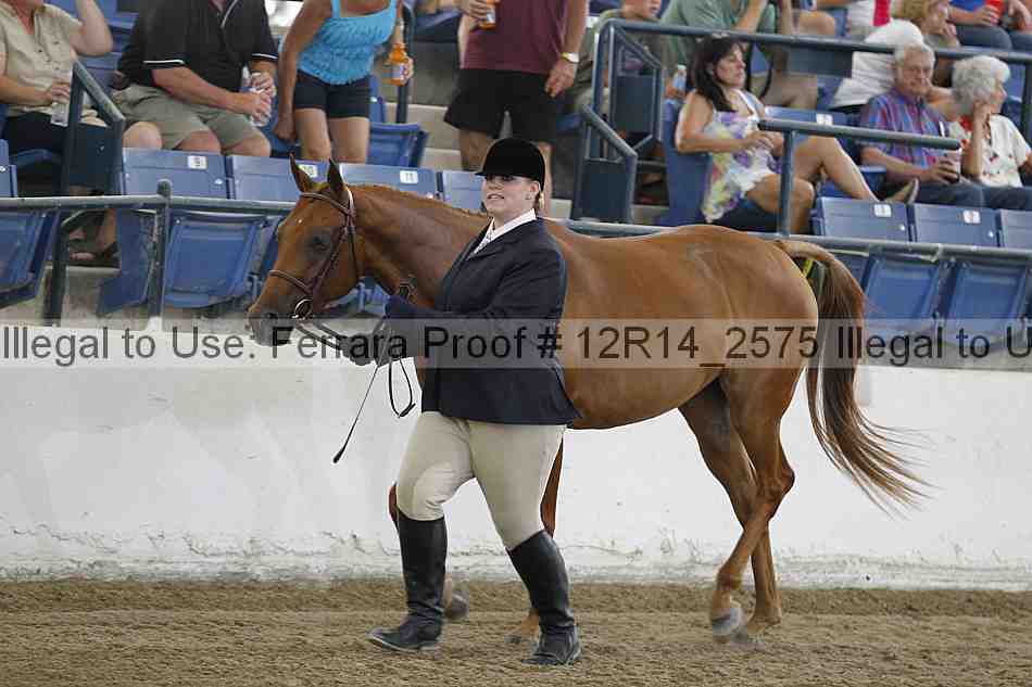 Proof 12r14_2575