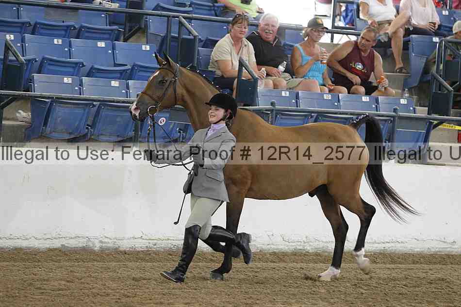 Proof 12r14_2577