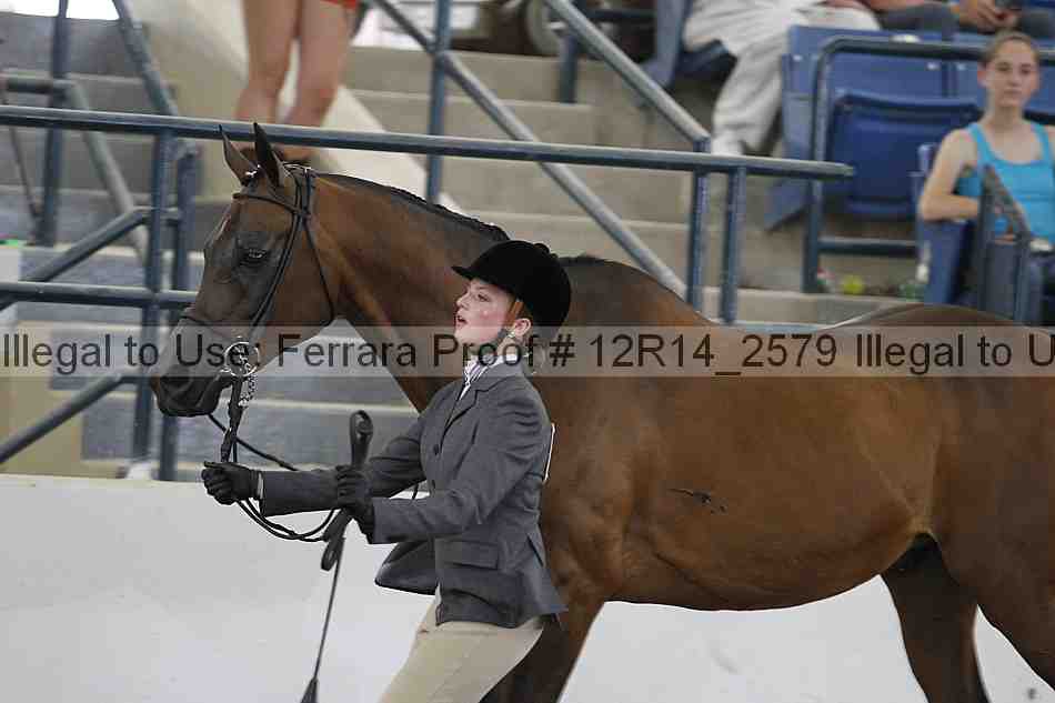 Proof 12r14_2579