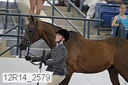 12r14_2579 proof