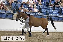 12r14_2593 proof