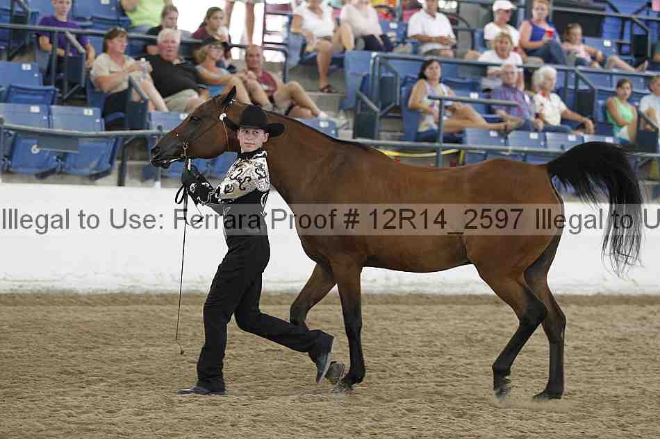 Proof 12r14_2597