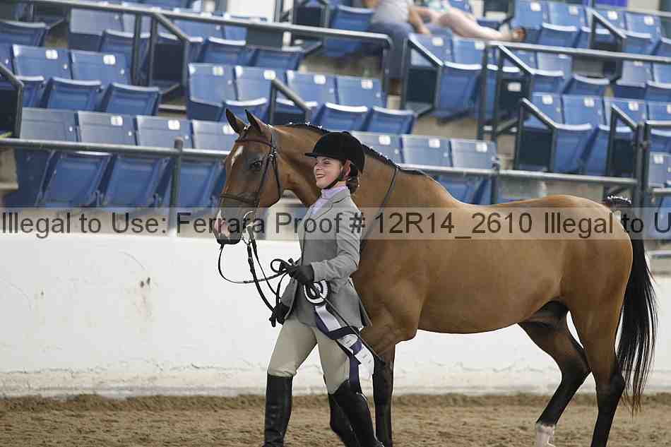 Proof 12r14_2610