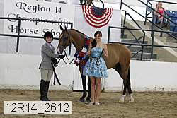 12r14_2612 proof