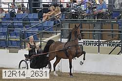 12r14_2631 proof