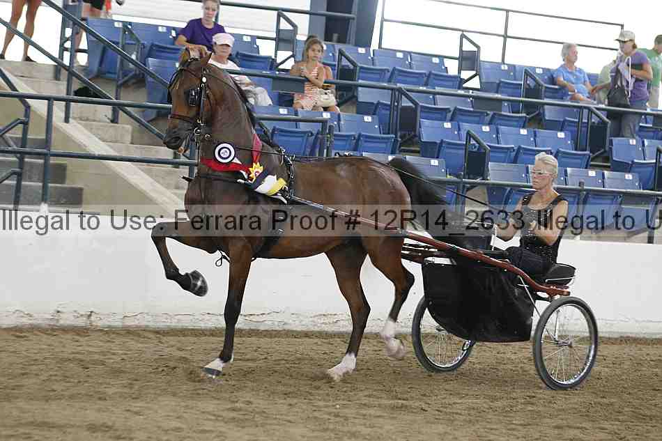 Proof 12r14_2633