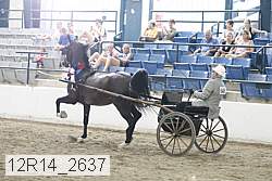 12r14_2637 proof