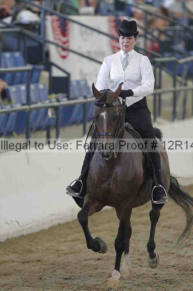 Proof 12r14_2679