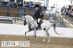 12r14_2732 proof