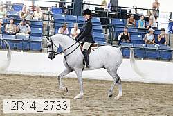 12r14_2733 proof