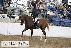 12r14_2735 proof