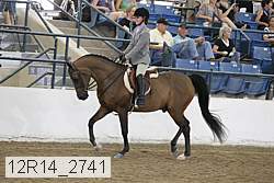 12r14_2741 proof