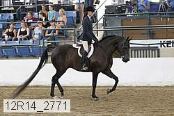 12r14_2771 proof