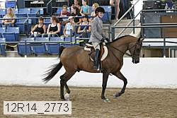 12r14_2773 proof