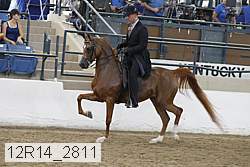 12r14_2811 proof