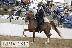 12r14_2819 proof