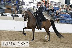 12r14_2830 proof