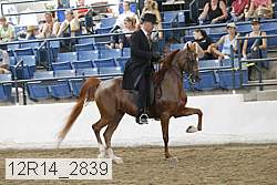12r14_2839 proof