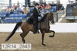 12r14_2843 proof