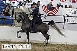 12r14_2846 proof