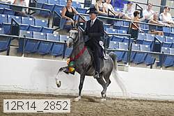 12r14_2852 proof