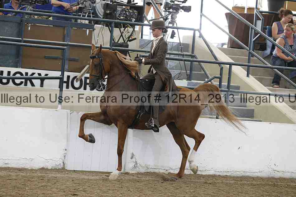 Proof 12r14_2913