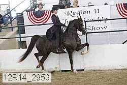 12r14_2953 proof