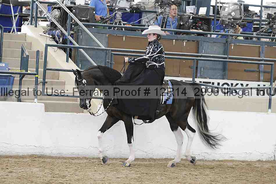 Proof 12r14_2995