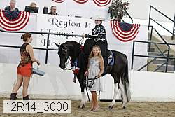 12r14_3000 proof
