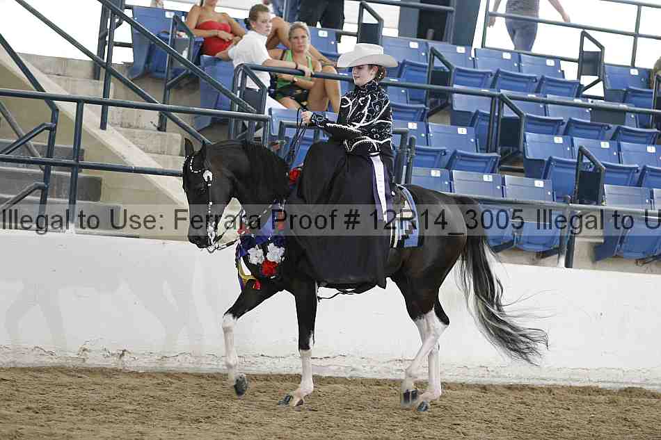 Proof 12r14_3005