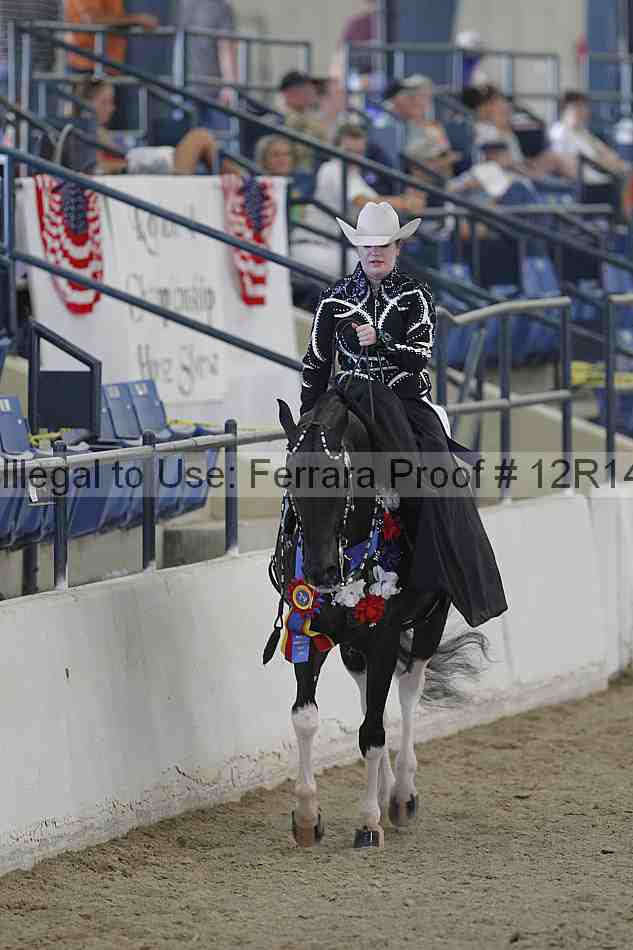 Proof 12r14_3012