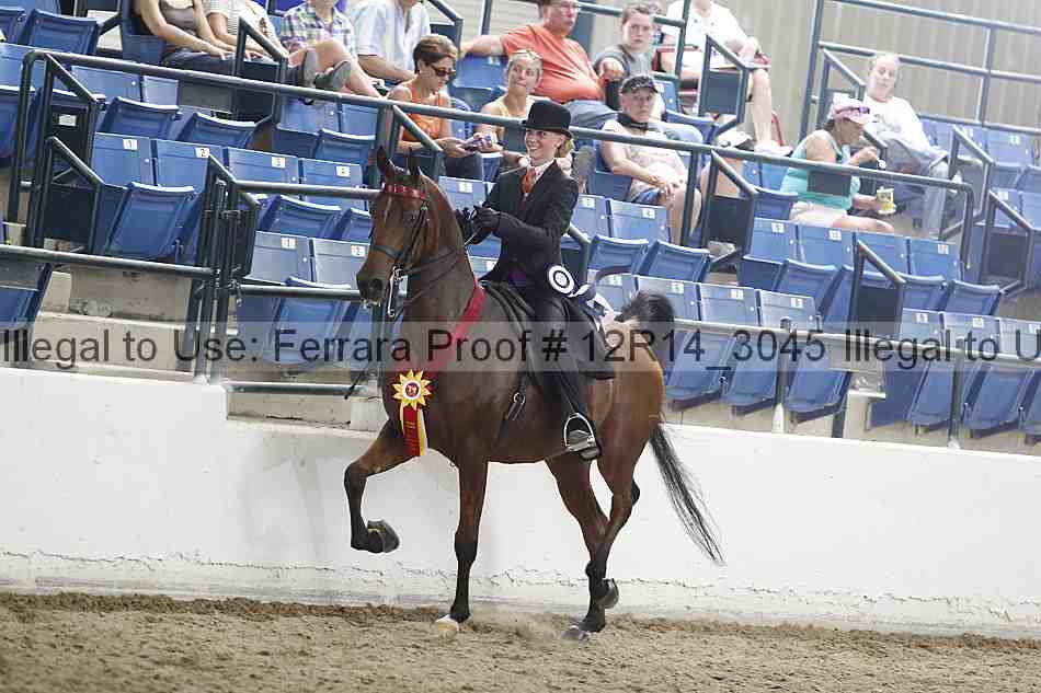 Proof 12r14_3045